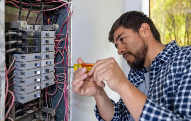 Best Electric Panel Repair  in Polo, IL